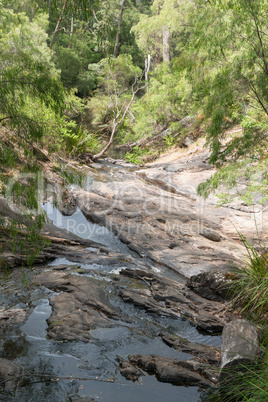 Beedelup National Park, Western Australia