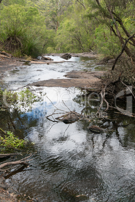 Beedelup National Park, Western Australia