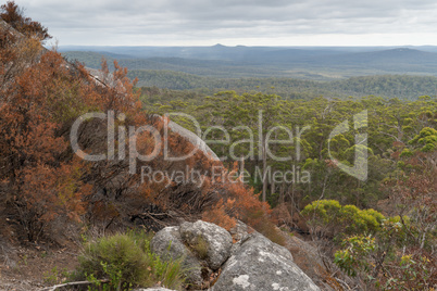 Mount Frankland National Park, Western Australia