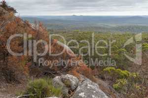 Mount Frankland National Park, Western Australia