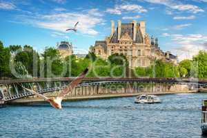 Seagulls over Seine