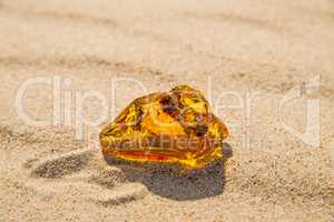 amber in sun on a beach of the Baltic sea in Poland