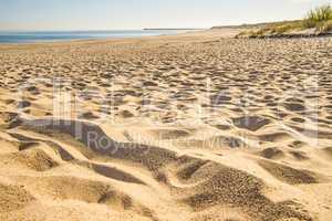 beach of the Baltic sea with beach grass