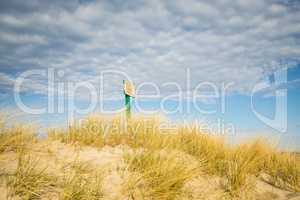 beach of the Baltic sea with beach grass