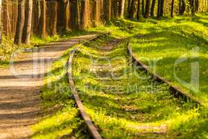 rails out of order, overgrown with green grass