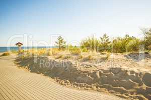 beach of the Baltic sea with beach grass