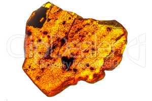 amber with inclusions