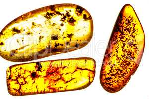 amber with inclusions