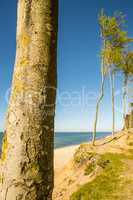 Baltic Sea in Poland with pines and dunes