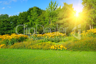 Spring park with beautiful flowerbeds and sun.