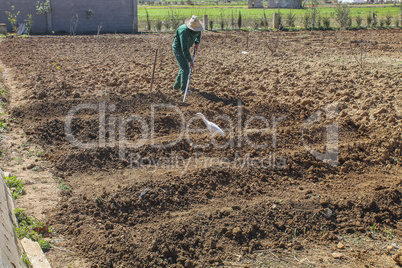 Man Cultivating garden with hand raker