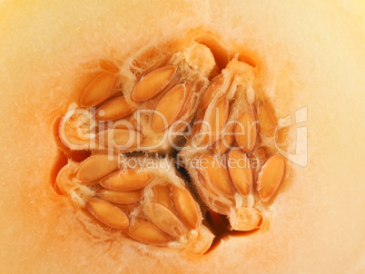 Close up of a honey melon