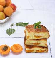 baked square pieces of a sponge cake with fresh apricots