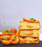 square pieces of cake sponges with apricot
