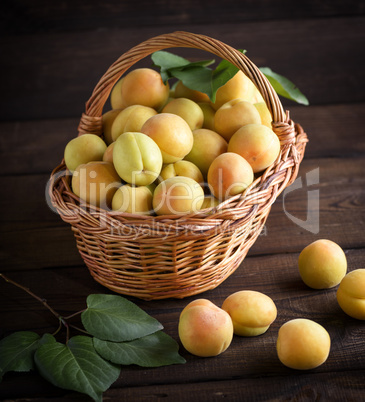 Ripe apricots in a brown wicker basket