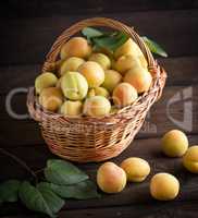 Ripe apricots in a brown wicker basket