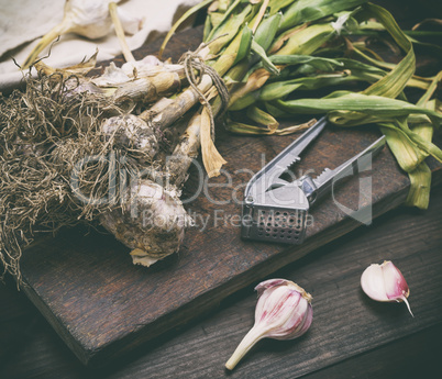 bunch of young garlic on a brown wooden board