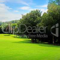 Summer park, green meadow and blue sky.