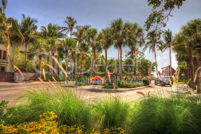 Entrance of the Naples Pier with tropical flowers