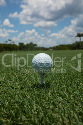 Golf ball teed up on a tee on the green under a blue sky