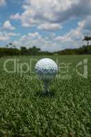 Golf ball teed up on a tee on the green under a blue sky