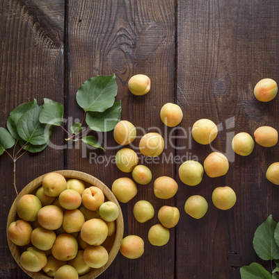 ripe apricots scattered on a brown wooden table