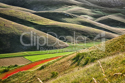 The hills of Castelluccio