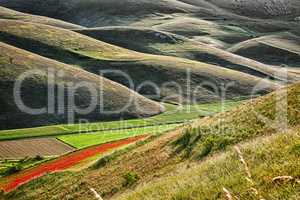 The hills of Castelluccio