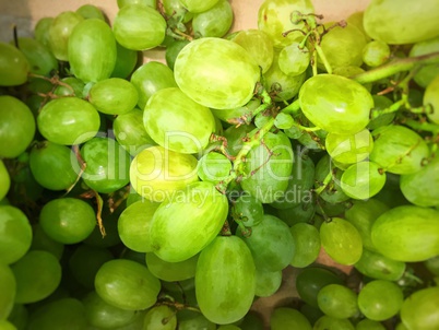 Fresh green grapes