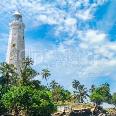 Beautiful lighthouse, lagoon and tropical palms (Matara Sri Lank