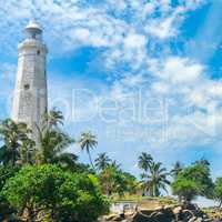 Beautiful lighthouse, lagoon and tropical palms (Matara Sri Lank