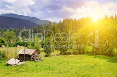 Slopes of mountains, coniferous trees and a bright sunset. Rural