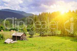 Slopes of mountains, coniferous trees and a bright sunset. Rural