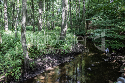 Beck Mühlenbach