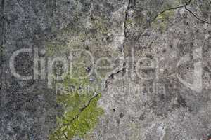 fragment of old gray cement with cracks and green moss