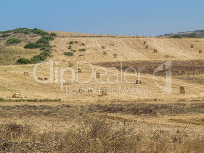 Moroccan Landscape With Many Hay Bales