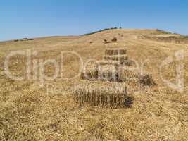 Field with bales of hay