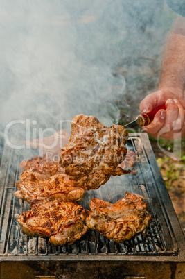 Meat baked on charcoal on a picnic in the forest