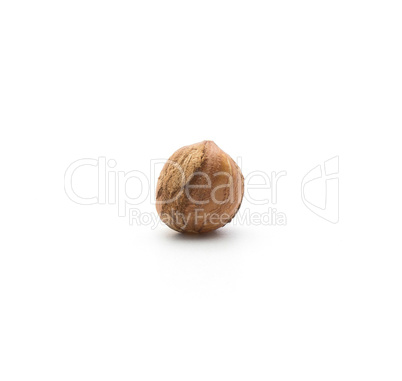 Raw hazelnut isolated on white