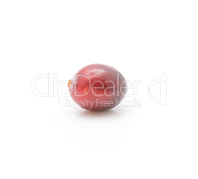 Fresh Cranberry isolated on white