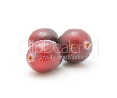 Fresh Cranberry isolated on white