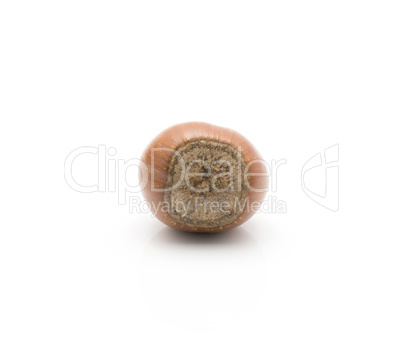 Raw hazelnut isolated on white