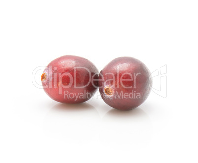 Fresh Cranberry isolated on white