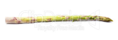 Green Asparagus isolated on white
