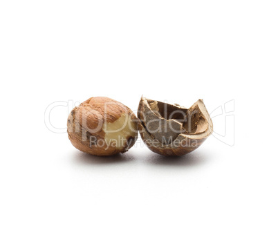 Raw hazelnut isolated on white