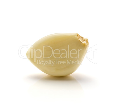 Common garlic isolated on white