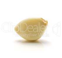 Common garlic isolated on white