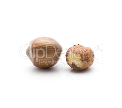 Raw hazelnut isolated on white