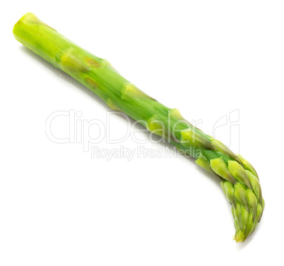 Green Asparagus isolated on white