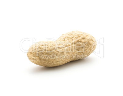 Raw peanut isolated on white